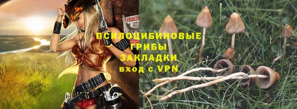 spice Алзамай