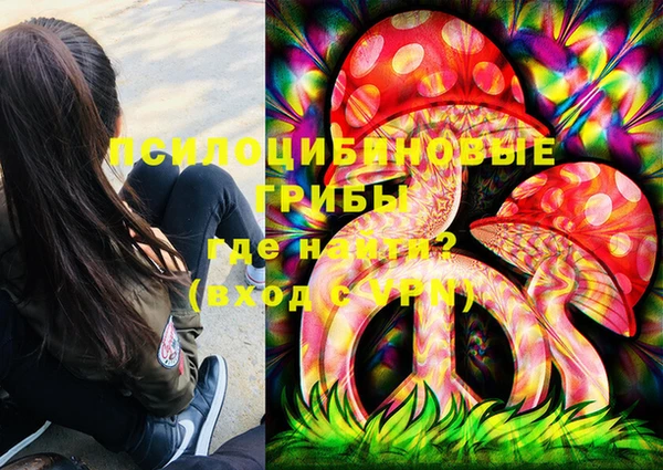 spice Алзамай