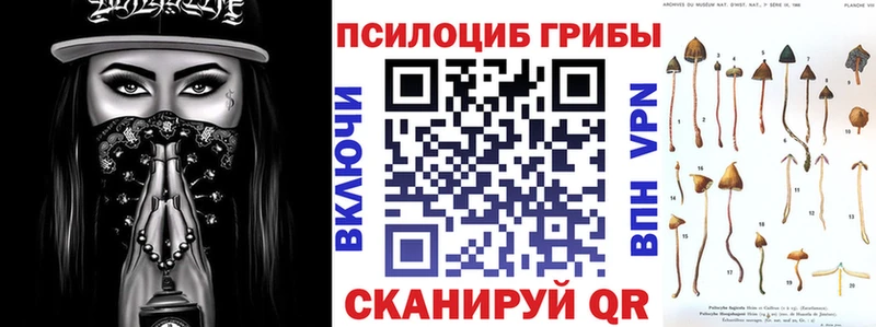 blacksprut маркетплейс  Сасово  Галлюциногенные грибы Magic Shrooms 